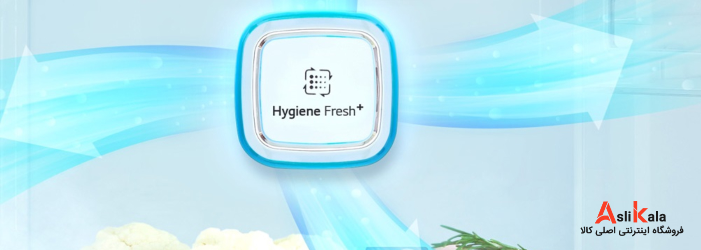 فیلتر هایژن فرش +Hygiene fresh در یخچال ال جی مدل GC-L247CLAV